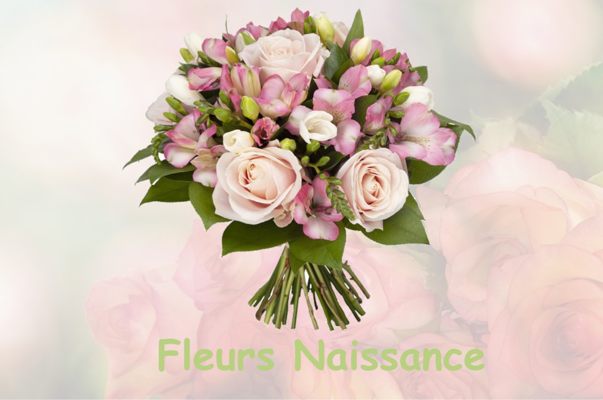 fleurs naissance CIERGES-SOUS-MONTFAUCON