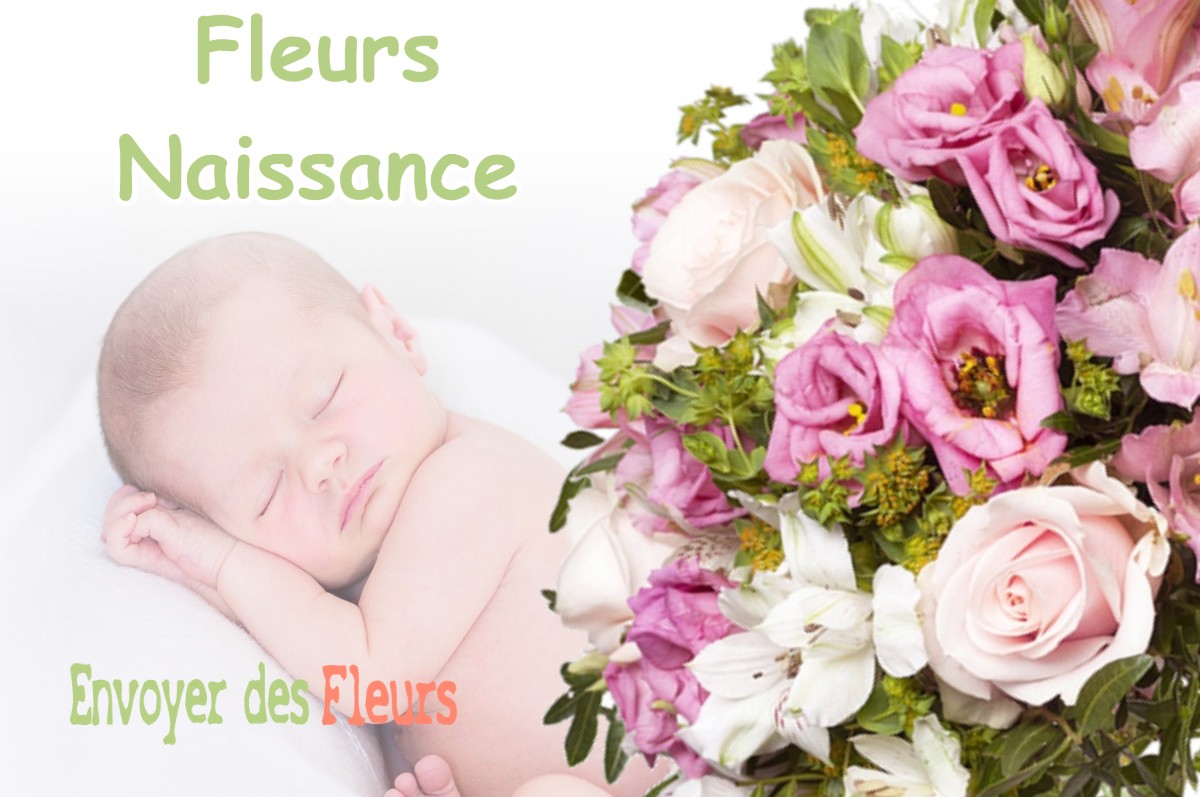 lIVRAISON FLEURS NAISSANCE à CIERGES-SOUS-MONTFAUCON